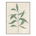 Picture of Swaying Foliage V _GroupedProduct_Rectangle_Portrait_Canvas_Framed_