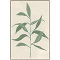 Picture of Swaying Foliage V _GroupedProduct_Rectangle_Portrait_Canvas_Framed_