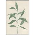 Picture of Swaying Foliage V _GroupedProduct_Rectangle_Portrait_Canvas_Framed_