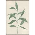 Picture of Swaying Foliage V _GroupedProduct_Rectangle_Portrait_Canvas_Framed_