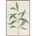 Picture of Swaying Foliage V _GroupedProduct_Rectangle_Portrait_Canvas_Framed_