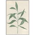 Picture of Swaying Foliage V _GroupedProduct_Rectangle_Portrait_Canvas_Framed_