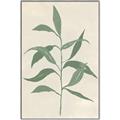 Picture of Swaying Foliage V _GroupedProduct_Rectangle_Portrait_Canvas_Framed_