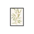 Picture of Botanical Strand III _GroupedProduct_Rectangle_Portrait_Canvas_Framed_