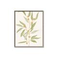 Picture of Botanical Strand III _GroupedProduct_Rectangle_Portrait_Canvas_Framed_