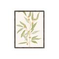 Picture of Botanical Strand III _GroupedProduct_Rectangle_Portrait_Canvas_Framed_