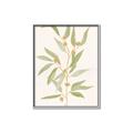 Picture of Botanical Strand III _GroupedProduct_Rectangle_Portrait_Canvas_Framed_