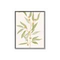 Picture of Botanical Strand III _GroupedProduct_Rectangle_Portrait_Canvas_Framed_