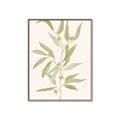 Picture of Botanical Strand III _GroupedProduct_Rectangle_Portrait_Canvas_Framed_