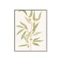 Picture of Botanical Strand III _GroupedProduct_Rectangle_Portrait_Canvas_Framed_