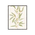 Picture of Botanical Strand III _GroupedProduct_Rectangle_Portrait_Canvas_Framed_