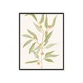 Picture of Botanical Strand III _GroupedProduct_Rectangle_Portrait_Canvas_Framed_