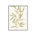Picture of Botanical Strand III _GroupedProduct_Rectangle_Portrait_Canvas_Framed_