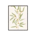 Picture of Botanical Strand III _GroupedProduct_Rectangle_Portrait_Canvas_Framed_
