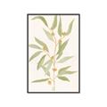 Picture of Botanical Strand III _GroupedProduct_Rectangle_Portrait_Canvas_Framed_