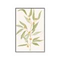 Picture of Botanical Strand III _GroupedProduct_Rectangle_Portrait_Canvas_Framed_