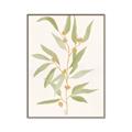 Picture of Botanical Strand III _GroupedProduct_Rectangle_Portrait_Canvas_Framed_