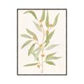 Picture of Botanical Strand III _GroupedProduct_Rectangle_Portrait_Canvas_Framed_