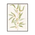 Picture of Botanical Strand III _GroupedProduct_Rectangle_Portrait_Canvas_Framed_