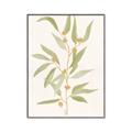 Picture of Botanical Strand III _GroupedProduct_Rectangle_Portrait_Canvas_Framed_