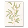 Picture of Botanical Strand III _GroupedProduct_Rectangle_Portrait_Canvas_Framed_