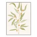 Picture of Botanical Strand III _GroupedProduct_Rectangle_Portrait_Canvas_Framed_