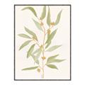 Picture of Botanical Strand III _GroupedProduct_Rectangle_Portrait_Canvas_Framed_