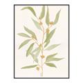 Picture of Botanical Strand III _GroupedProduct_Rectangle_Portrait_Canvas_Framed_