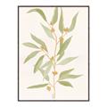 Picture of Botanical Strand III _GroupedProduct_Rectangle_Portrait_Canvas_Framed_