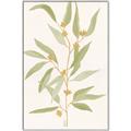 Picture of Botanical Strand III _GroupedProduct_Rectangle_Portrait_Canvas_Framed_