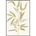 Picture of Botanical Strand III _GroupedProduct_Rectangle_Portrait_Canvas_Framed_