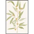Picture of Botanical Strand III _GroupedProduct_Rectangle_Portrait_Canvas_Framed_