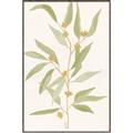 Picture of Botanical Strand III _GroupedProduct_Rectangle_Portrait_Canvas_Framed_