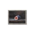 Picture of Pomegrenate Still Life I _GroupedProduct_Rectangle_Landscape_Framed_Matted_