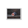 Picture of Pomegrenate Still Life I _GroupedProduct_Rectangle_Landscape_Framed_Matted_