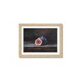 Picture of Pomegrenate Still Life I _GroupedProduct_Rectangle_Landscape_Framed_Matted_