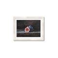 Picture of Pomegrenate Still Life I _GroupedProduct_Rectangle_Landscape_Framed_Matted_
