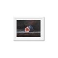 Picture of Pomegrenate Still Life I _GroupedProduct_Rectangle_Landscape_Framed_Matted_