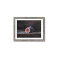 Picture of Pomegrenate Still Life I _GroupedProduct_Rectangle_Landscape_Framed_Matted_