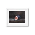 Picture of Pomegrenate Still Life I _GroupedProduct_Rectangle_Landscape_Framed_Matted_