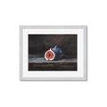 Picture of Pomegrenate Still Life I _GroupedProduct_Rectangle_Landscape_Framed_Matted_