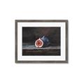 Picture of Pomegrenate Still Life I _GroupedProduct_Rectangle_Landscape_Framed_Matted_