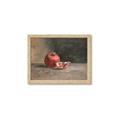 Picture of Pomegrenate Still Life II _GroupedProduct_Rectangle_Landscape_Framed_Matted_