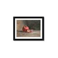 Picture of Pomegrenate Still Life II _GroupedProduct_Rectangle_Landscape_Framed_Matted_