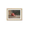 Picture of Pomegrenate Still Life II _GroupedProduct_Rectangle_Landscape_Framed_Matted_