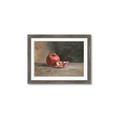 Picture of Pomegrenate Still Life II _GroupedProduct_Rectangle_Landscape_Framed_Matted_