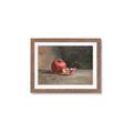Picture of Pomegrenate Still Life II _GroupedProduct_Rectangle_Landscape_Framed_Matted_
