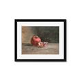 Picture of Pomegrenate Still Life II _GroupedProduct_Rectangle_Landscape_Framed_Matted_