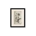Picture of Vintage Flower I _GroupedProduct_Rectangle_Portrait_Framed_Matted_