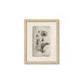 Picture of Vintage Flower I _GroupedProduct_Rectangle_Portrait_Framed_Matted_